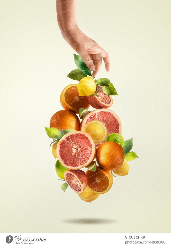 Woman hand and various falling citrus fruits with green leaves at pale beige background. grapefruit lemon orange lime flying in the air healthy food concept