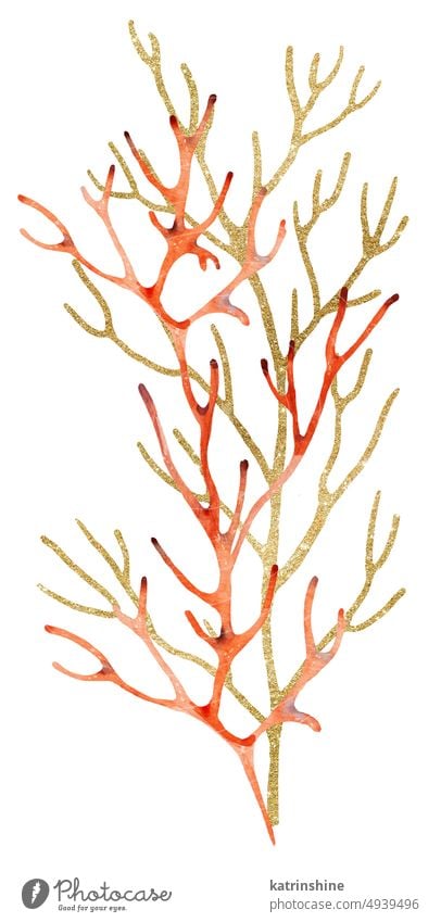 Red Watercolor and golden corals Illustration, isolated element for beach wedding design Decoration Drawing Element Exotic Hand drawn Holiday Isolated Nature