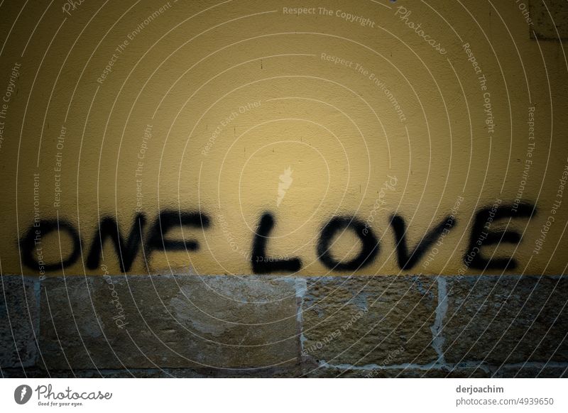 A love, sprayed on a wall in black letters. Letters (alphabet) Joy Close-up Exterior shot Facade Colour photo Deserted Wall (barrier) Wall (building) Characters