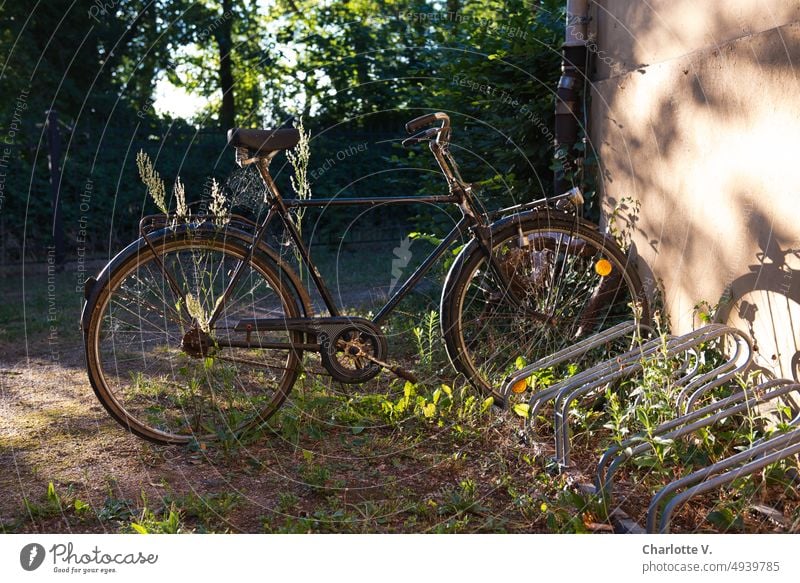 Old bicycle in evening light Bicycle Bicycle rack Means of transport Colour photo Mobility Wheel Exterior shot Eco-friendly Deserted Parking Leisure and hobbies
