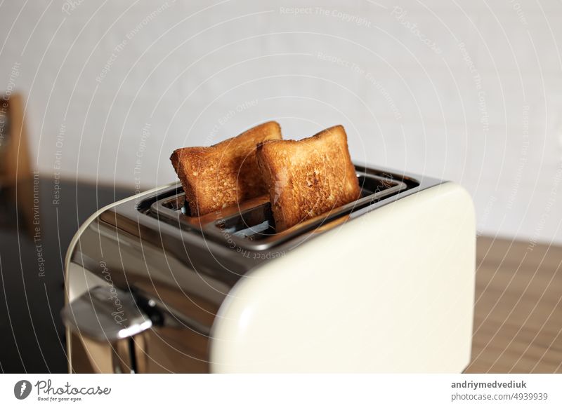 toasted bread in white toaster, roasted sandwich toast, concept of healthy eating, dieting, snacking at work, at school, student fast food. Modern white toaster.