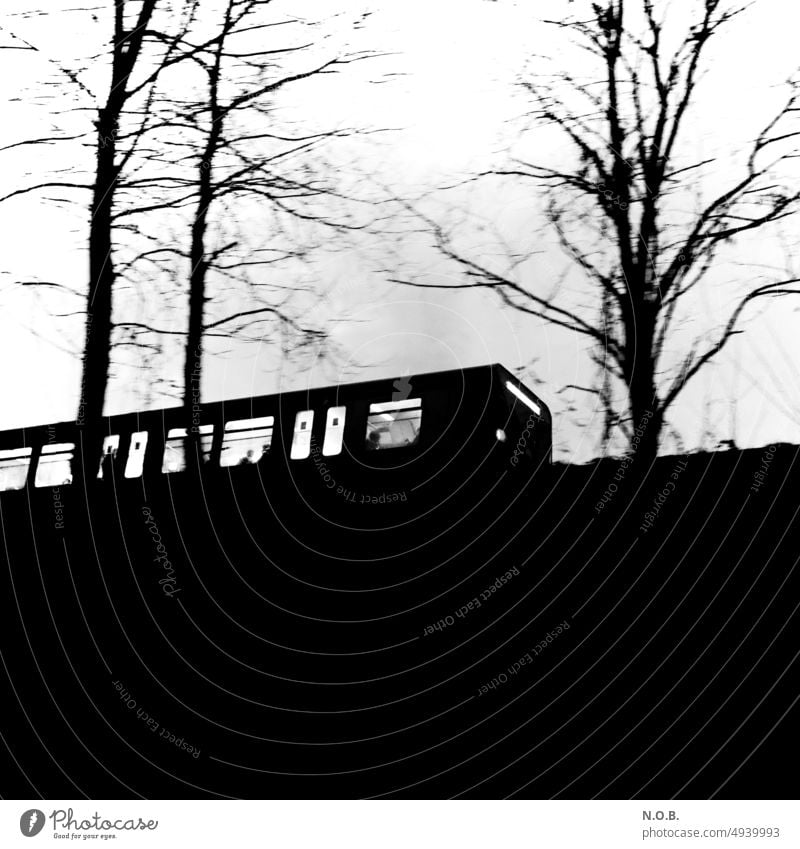 Silhouette of train in front of trees train ride shut Railroad Train travel Transport Vacation & Travel Rail transport Means of transport Exterior shot