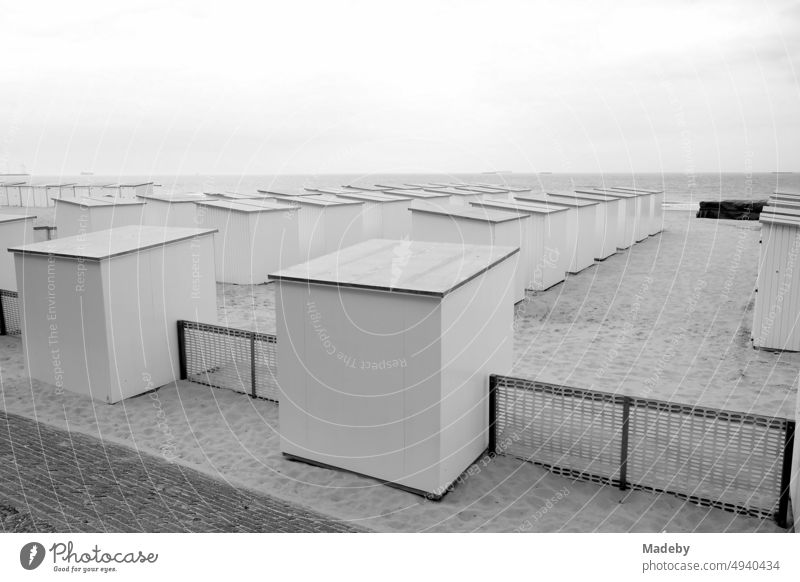 Long row with traditional beach cabins in rainy weather on the beach in Knokke-Heist on the North Sea near Bruges in West Flanders in Belgium, photographed in classic black and white