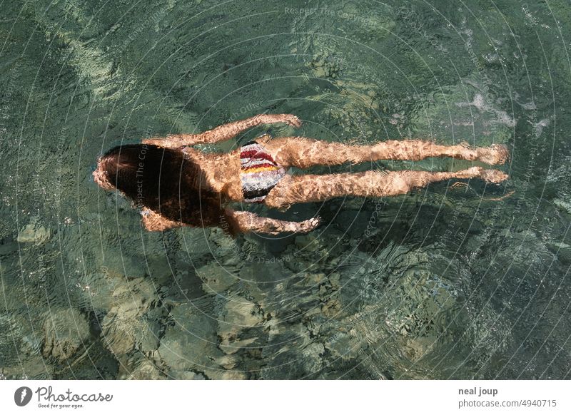 Young woman in bikini swims and dives through crystal clear sea water Ocean Water be afloat Dive Woman Elegant Bikini Youth (Young adults) Swimming & Bathing