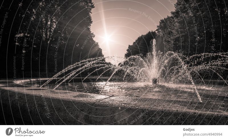 Fountain with fountain, trees and sky with sun star in background Well solar star Water Nature Sun Sky Sunlight Black & white photo Exterior shot Sunbeam