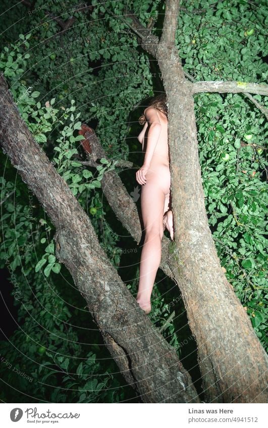 This is what it looks like to live in a house tree. If you’re a gorgeous and naked girl up in a tree. Enjoying wild summer and spreading free spirit vibes.