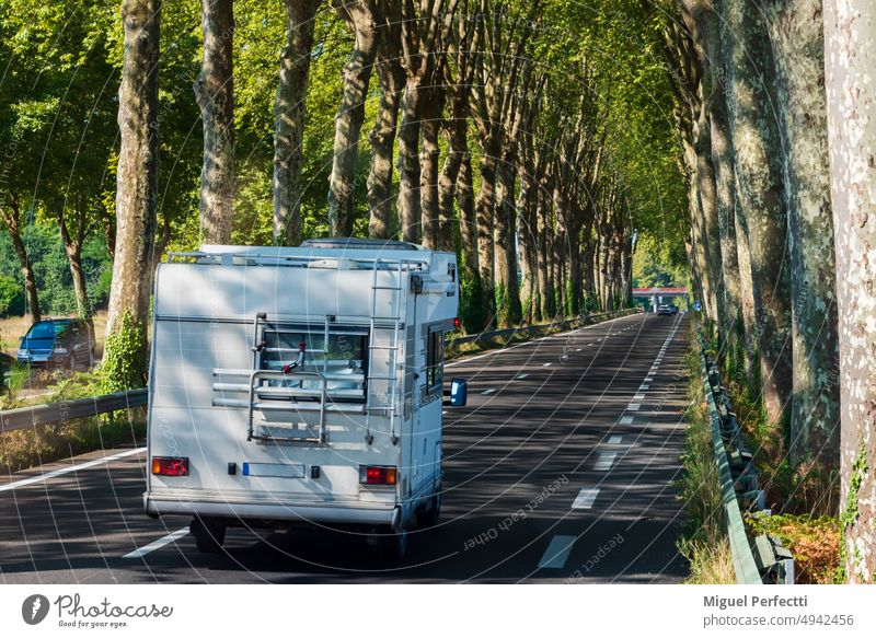 Motorhome driving along a road bordered by two rows of trees. South of France. motorhome holiday vacation trip camper caravan comfort transport nature freedom