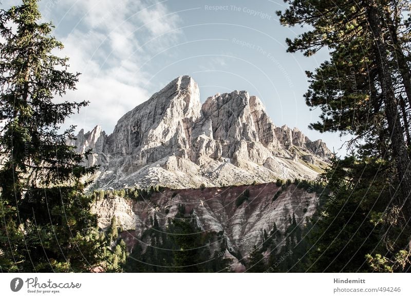Peitlerkofel [landscape] Elements Earth Air Sky Clouds Summer Beautiful weather Tree Forest Hill Rock Alps Mountain Peak Dolomites Stone Stand Exceptional