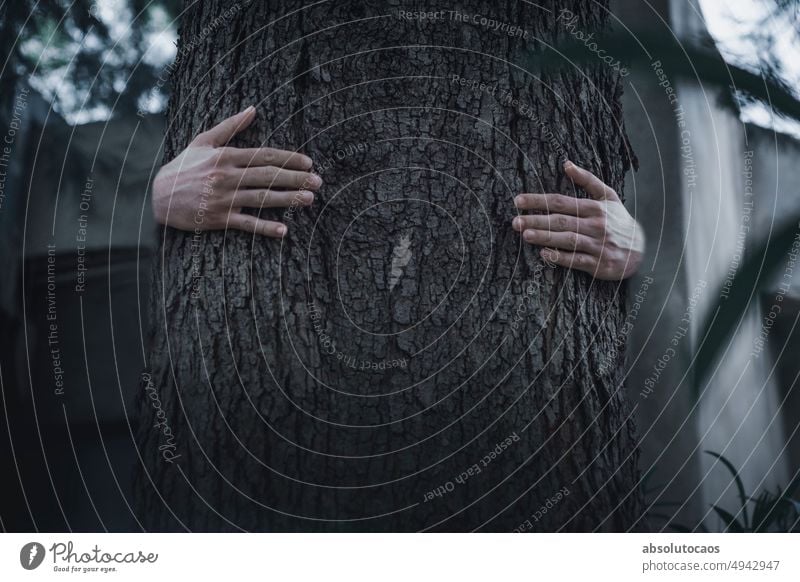 Two hands huging a tree abstract art people nature nostalgic outdoors