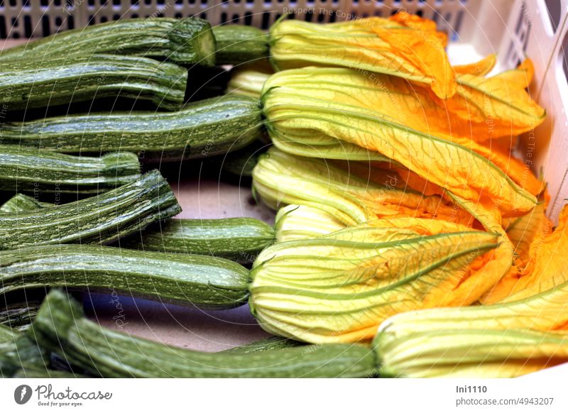 Zucchini flowers Nutrition Food Vegetable male zucchini flowers reclining Sales box Cucurbits Edible Delicacy yellow blossom green stem Decoration