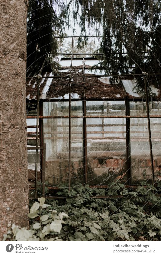 An abandoned greenhouse by the forest. Broken glasses, rusty metal frames, windows and doors. Ruined building structure, scary looking. alone architecture brick