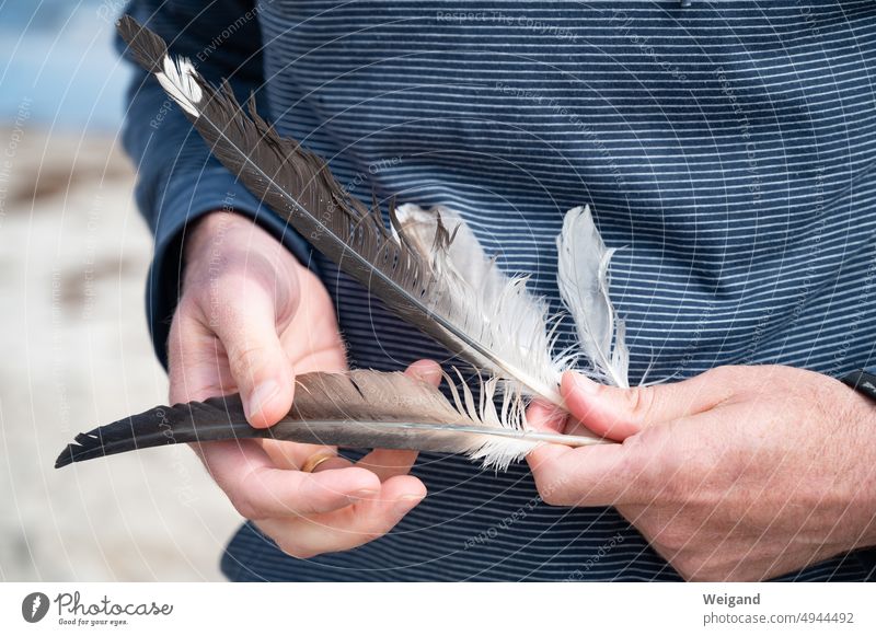 Feathers in hand with thoughtfulness feathers Beach Hand Grief Stop short tranquillity silent Meditative sad balance Simple Summer Blue search Longing