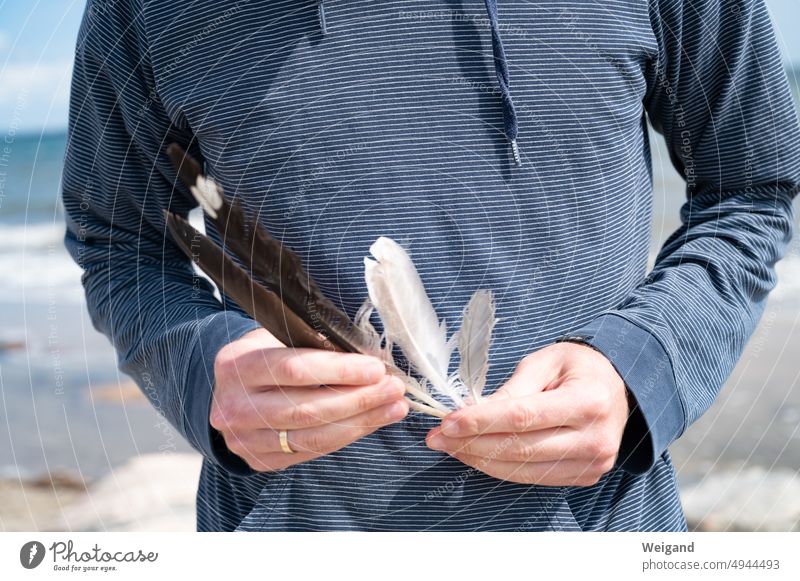 Feathers in hands holding on beach attentiveness Beach vacation beach holiday Baltic Sea Ocean North Sea Northern Germany Schleswig-Holstein amass Sandy beach