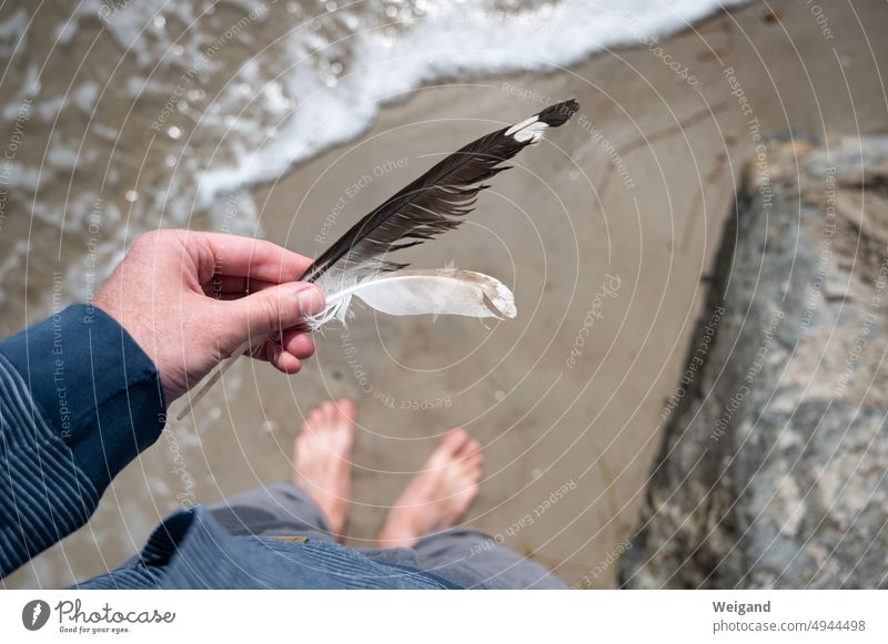 Feathers in hand on beach looking down at feet in water attentiveness Beach vacation beach holiday Baltic Sea Ocean North Sea Northern Germany