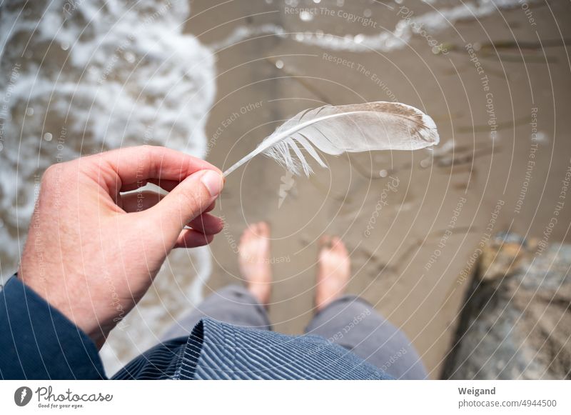 A white feather in hand on the beach looking down at the feet in the water Feather attentiveness Beach vacation beach holiday Baltic Sea Ocean North Sea