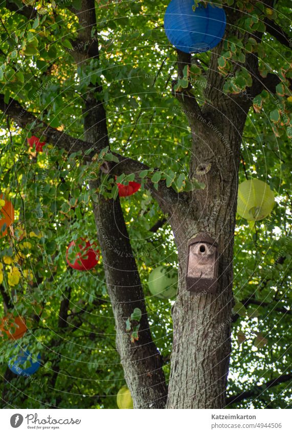 Lampion Dekoration Garden Summer Decoration Colour photo colourful Lantern Paper lantern garden decoration Tree leaves Green green leaves Bird Birdhouse City