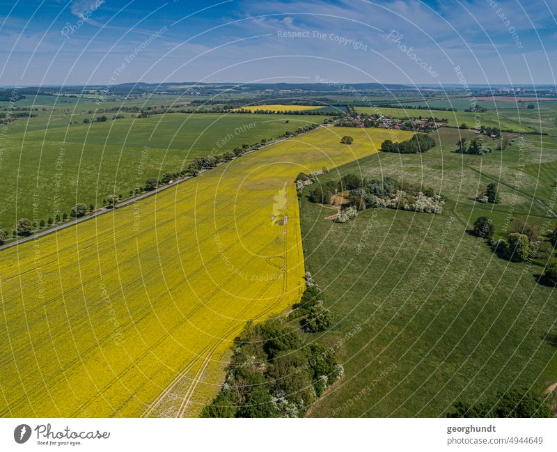 Rape drive 3 | blow with rape, various fields, Mecklenburg landscape from the air in May Canola Canola field early summer energy revolution In transit Landscape