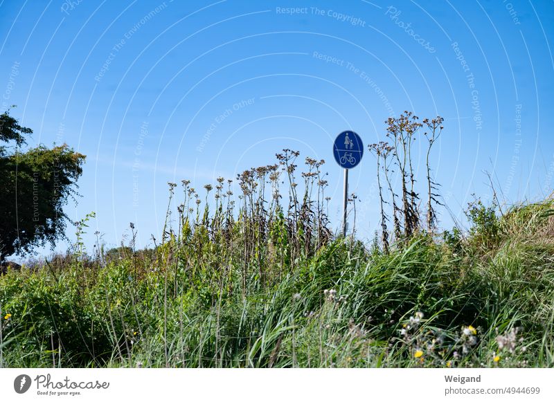 Traffic sign behind meadow with flowers under blue sky Road sign Pedestrian cyclists Blue sky Meadow Flower meadow Summer Baltic Sea Trip Hiking stroll