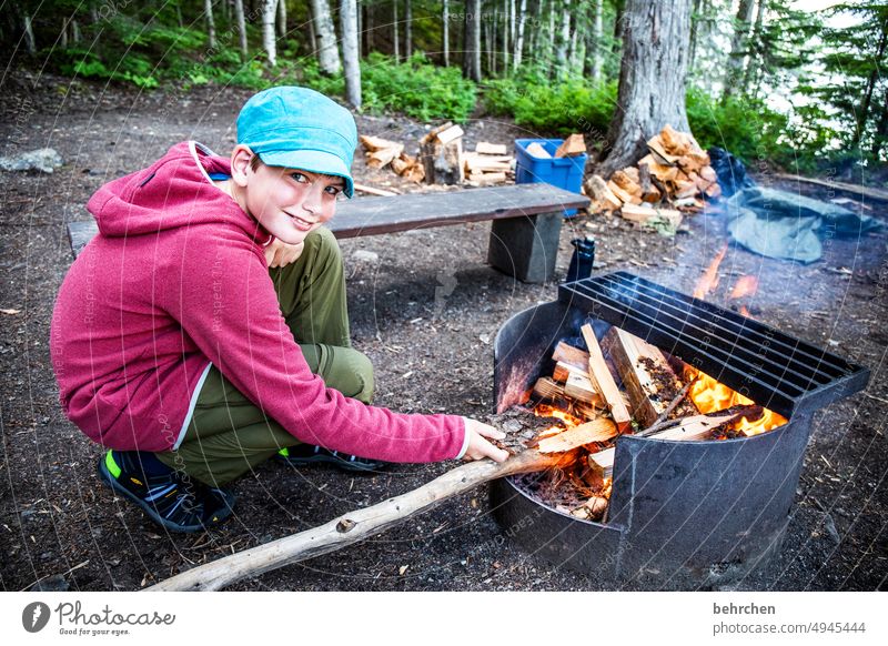 firebugs Tree trunk North America British Columbia Boy (child) Child Infancy Son Adventure Fireplace Wilderness Forest Exterior shot Colour photo Freedom