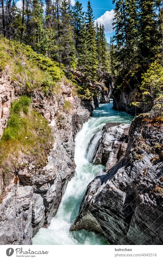 fabric softener | when water meets rock Riverbed Canyon Wall of rock Rock Forest North America British Columbia Canada Wanderlust Fantastic Impressive Adventure