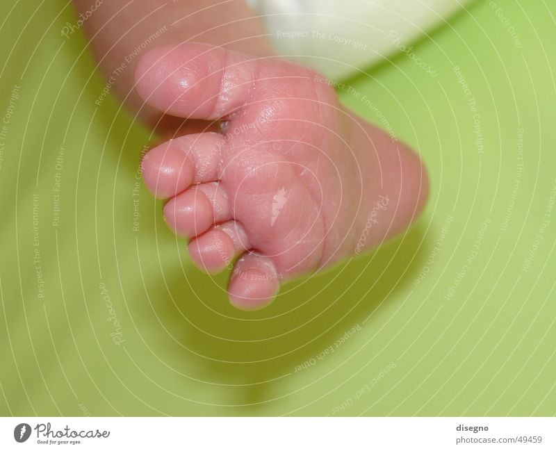 foot Baby Toes Child Going Birth Toddler Nappy Feet thick otto Legs Parts of body Barefoot