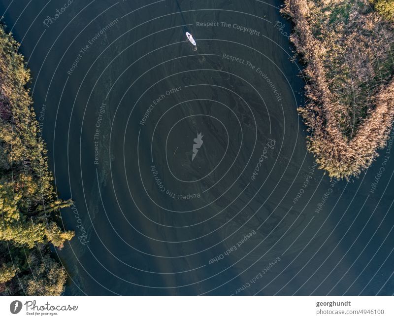 Seeenge reeds at the edge. Centered and small a SUP board rider. Aerial view looking strictly down. Sc SEA stand-up paddle board SUP riders Lake