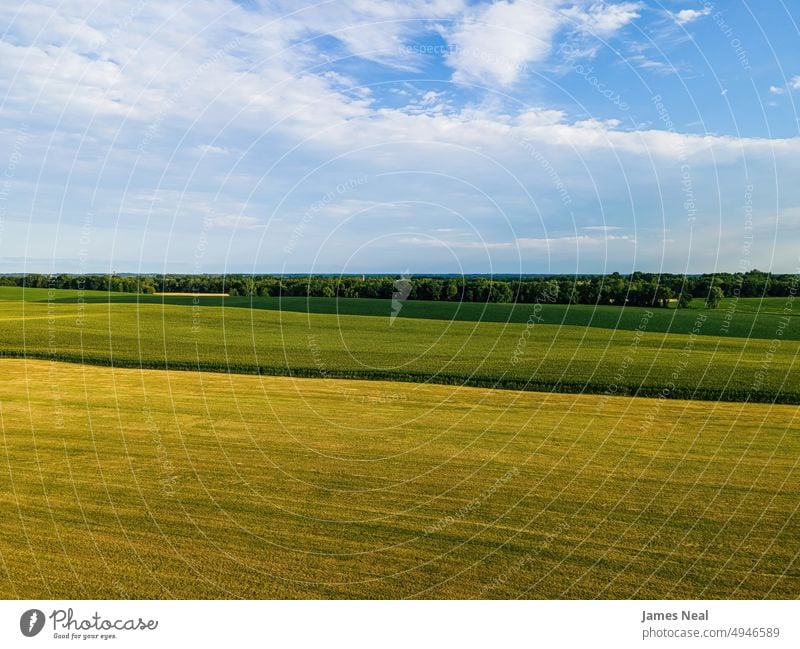 Vibrant summertime landscapes in wisconsin horizon sunny natural nature day meadow background agriculture plant Idyllic sustainable resources growth outdoors
