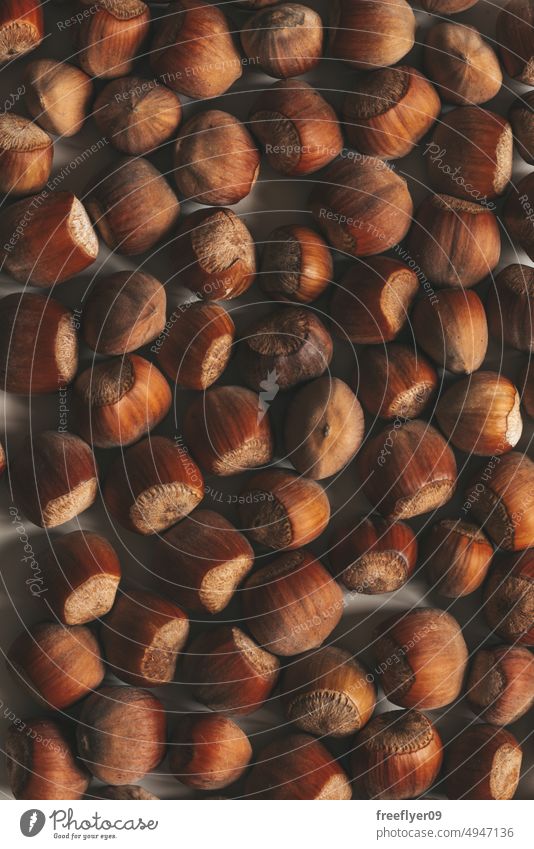 Collection of hazelnuts from above texture copy space food healthy closeup brown filbert shell advent background shelled organic white walnut almond macro