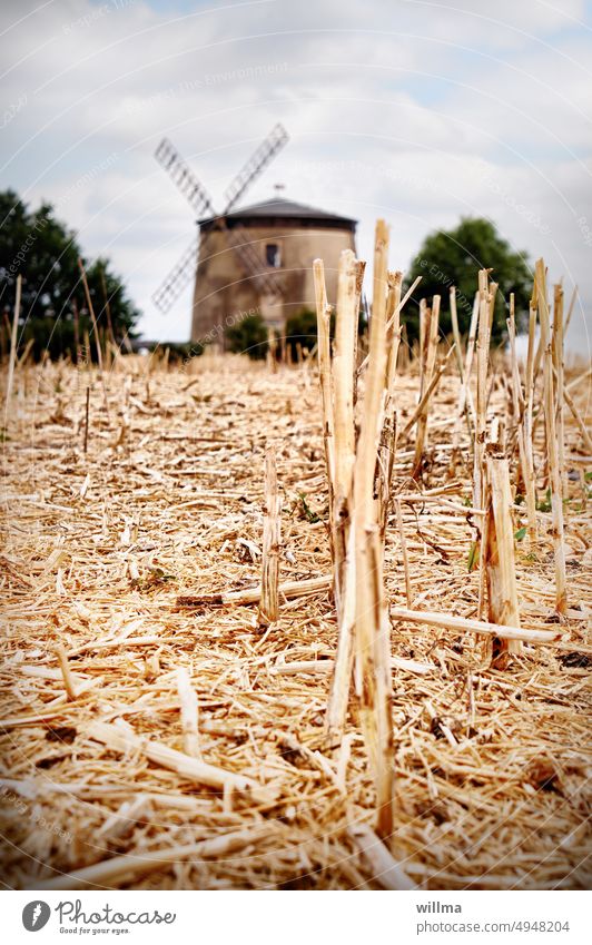 summer stubble field with historical grain windmill Stubble field Grain harvested stubbles grain mill Windmill Dutch windmill Turmholländer Historic