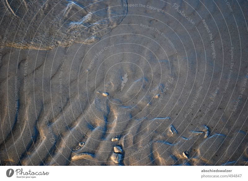 wavelet Nature Sand Water Waves Coast Beach Baltic Sea Peaceful Serene Purity Loneliness Uniqueness Relaxation Vacation & Travel Equal Hope Idyll Inspiration