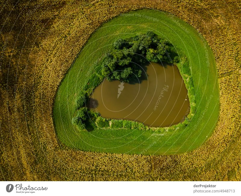 "Celestial eye" or also target in a Brandenburg field Field Esthetic Authentic Exceptional Structures and shapes Plant Landscape Nature Miracle of Nature