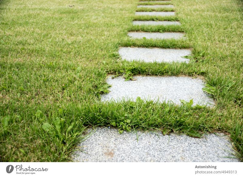 Tread plate path Step plates off Meadow Green Grass Stone Gray slabs Nature Line Direction Exterior shot Landscape Lanes & trails Day Deserted Colour photo