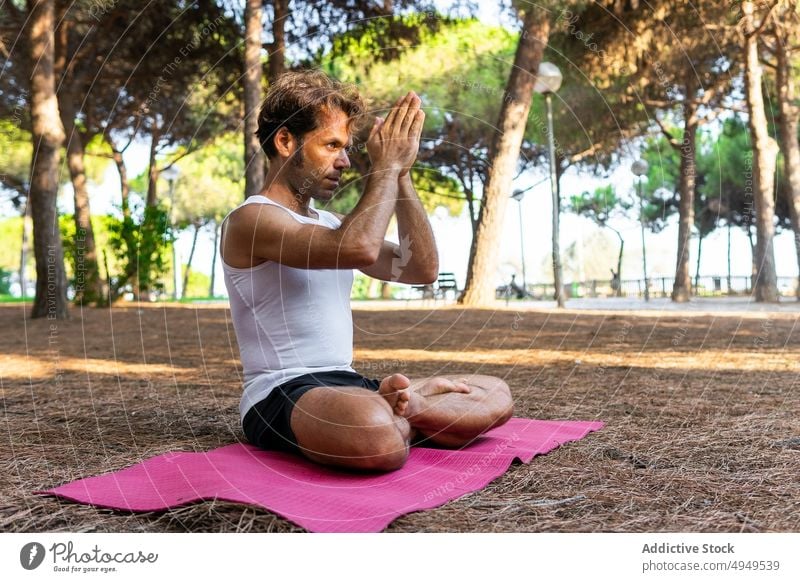 Mature man meditating with clasped hands in park meditate yoga session summer zen lotus pose practice mat male middle age mature healthy lifestyle mindfulness