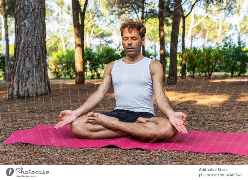 Concentrated man meditating on mat in park meditate yoga session lotus pose gesture mudra zen focus male eyes closed concentrated legs crossed wellbeing