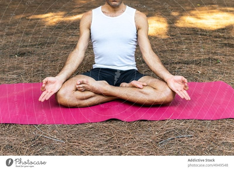 Crop man meditating on mat in park meditate yoga session lotus pose gesture mudra zen male legs crossed wellbeing vitality summer practice relax mindfulness