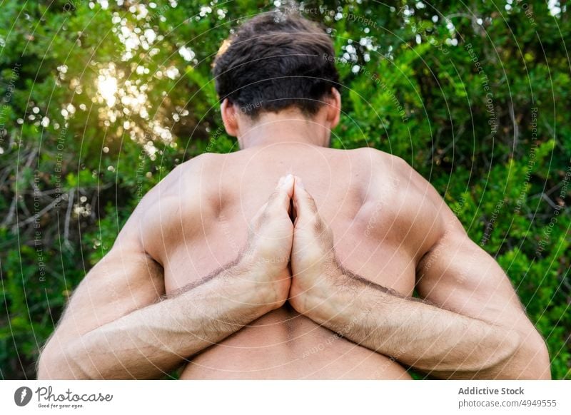 Anonymous male clasping hands behind back man yoga session hands clasped meditate bush flexible stretch summer weekend park zen mindfulness practice balance