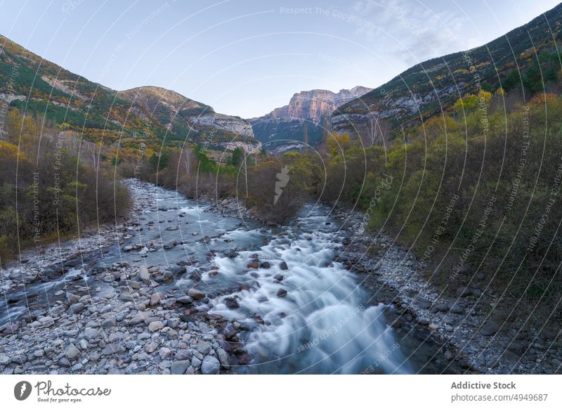 Mountain river in autumn evening mountain tree water stream lush cloudless sky countryside huesca spain ordesa y monte perdido national park fast flow creek