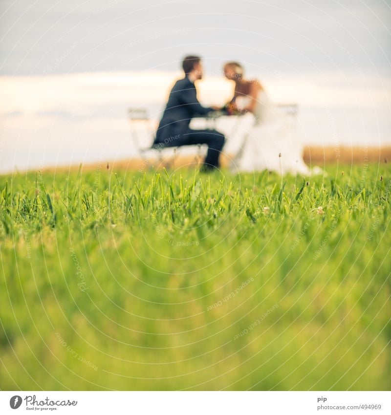 palpitations Human being Masculine Feminine Young woman Youth (Young adults) Young man Couple Partner 2 Landscape Summer Beautiful weather Grass Meadow