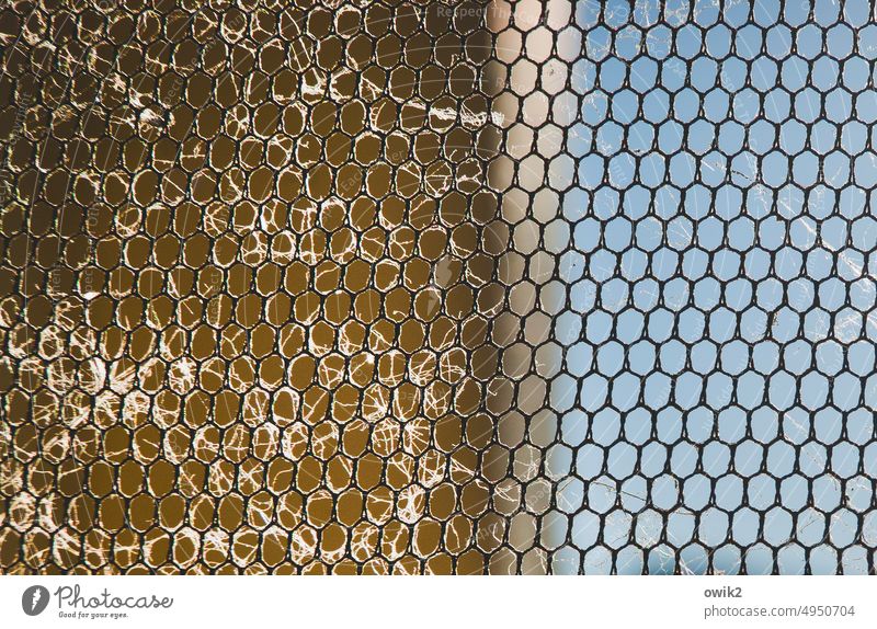 Dust filter Gauze Window Fly screen Narrow Near Colour photo Close-up Pattern Macro (Extreme close-up) Deserted Structures and shapes Detail Minimalistic