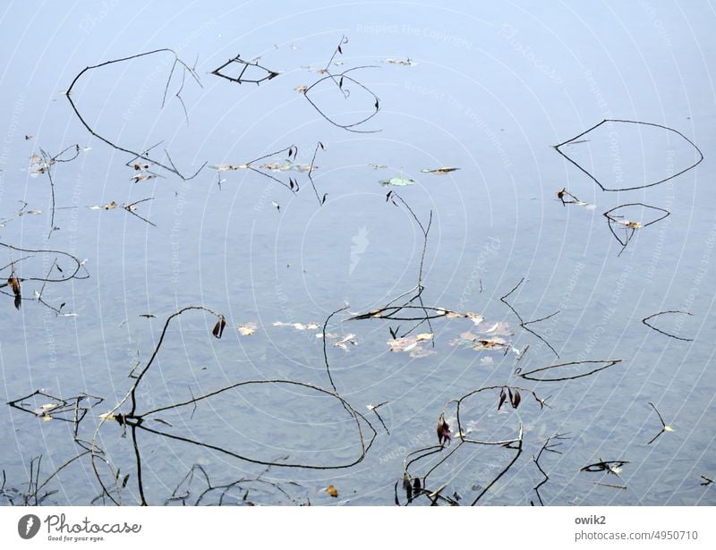 Sparsely populated Lake strokes lines Many Thin Reduced abstract photography Minimalistic Mysterious Abstract puzzling Simple Peaceful Calm Idyll Landscape
