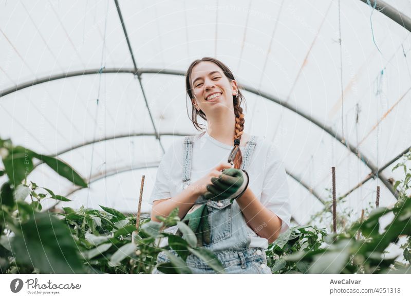 Portrait of a Happy and positive young adult woman working in greenhouse while using gloves to grow vegetables. Sustainability and healthy food concept. Bio eco. Organic raw products grown on a home farm