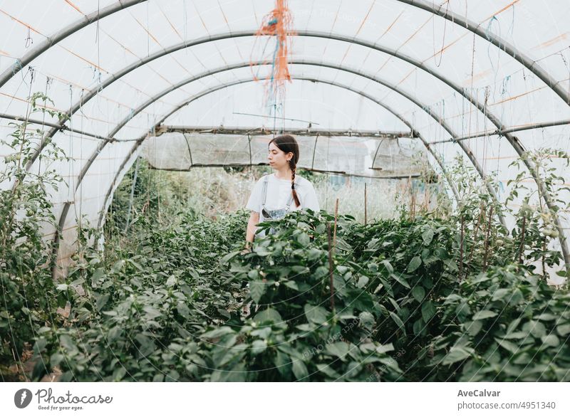 Serious woman standing in greenhouse near plants with vegetables. Sustainability and responsible growing concept. Eco and bio healthy food harvesting.Positive woman farm worker tasting harvested strawberry, working in greenhouse. Female farmer with stra...