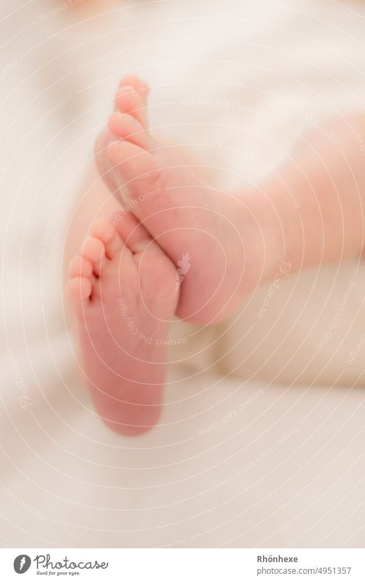 tender newborn feet Colour photo Newborn Warmth Parents baby foot Toes Love Together Safety (feeling of) Protection Trust Joie de vivre (Vitality) Happy Feet