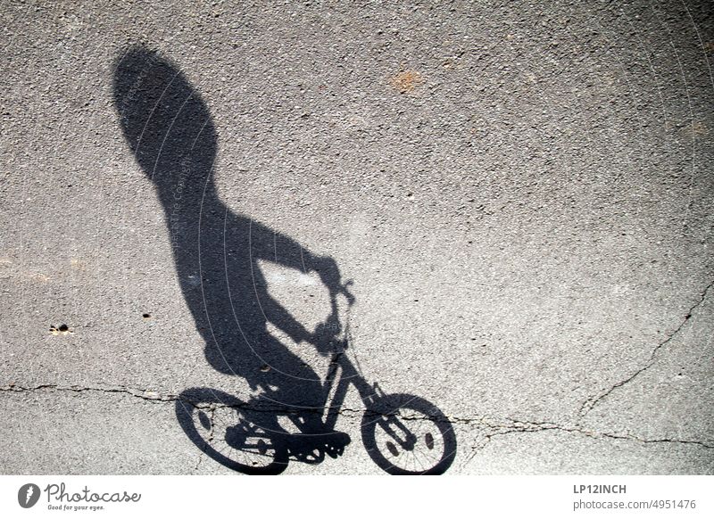 downside Shadow Infancy Shadow play Cycling Bicycle Driving Street Wheel Mobility Cycling tour Cycle path Asphalt Lanes & trails Eco-friendly Movement