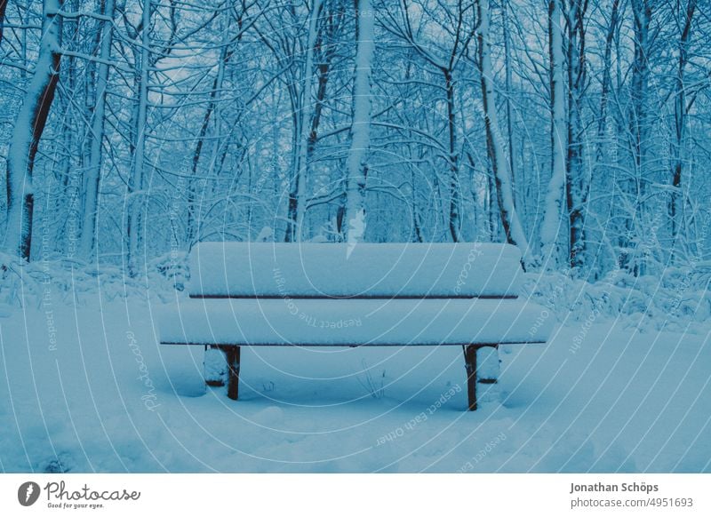 bench covered with snow in winter forest Bench Winter walk Winter forest chill Seasons trees Snowscape Environment Deserted Nature Landscape Exterior shot