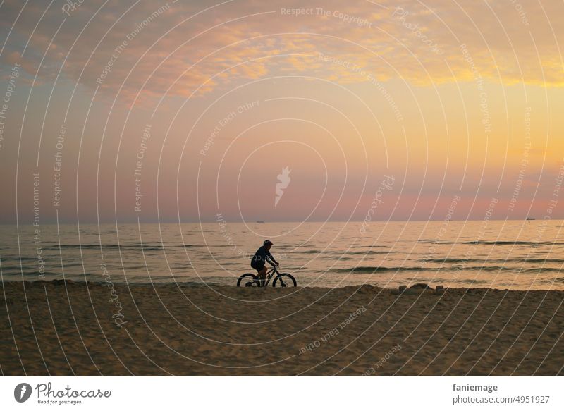 early-morning exercise Bicycle Sports Early morning sport Man coast Sunrise Cycling Athletic Exterior shot Human being Lifestyle Driving Fitness