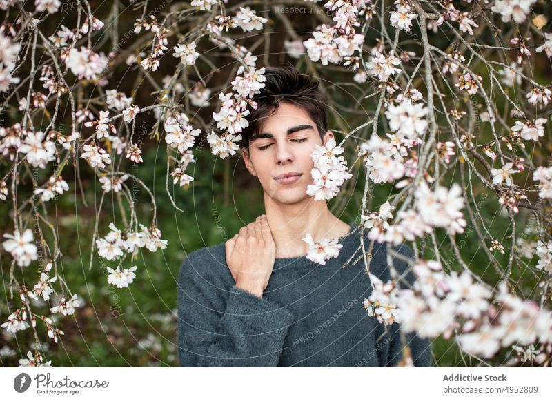 Young Man With Closed Eyes Under Blooming Tree flower nature tree flora garden season branch outdoors almond bloom blossom blur botany calm elegant environment