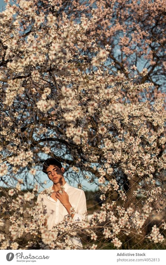 Young Man Near Blooming Tree In Garden tree flower nature season branch park flora outdoors garden growth almond aroma bloom blossom blur botany calm