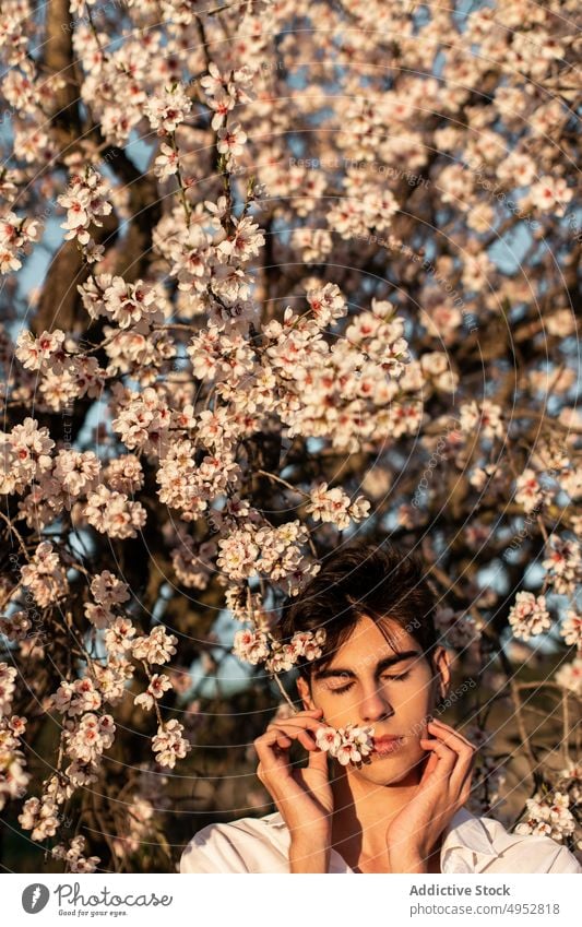 Young Man Near Blooming Tree In Garden flower nature tree outdoors season flora park garden branch almond aroma bloom blossom blur botany calm environment