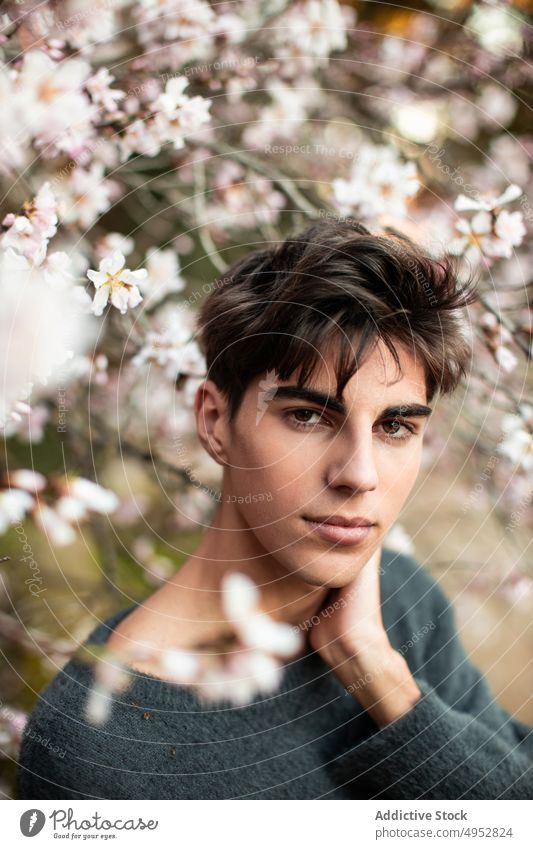 Young Man Looking At Camera Under Blooming Tree nature flower tree outdoors model park almond bloom blossom blur botany branch calm elegant environment flora